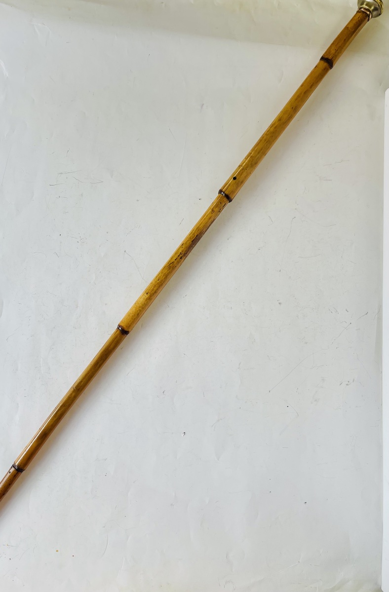 Canne fusil sarbacane -photo-6